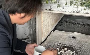 費用はかけられないが、個別で火葬してあげたいとご要望いただいたケース