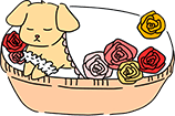 うちの子だけで個別に火葬してあげたい