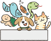 寂しくないように他のペットのお友だちと一緒に供養してあげたい