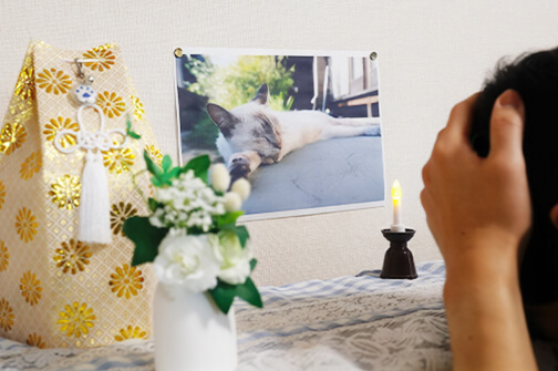 ペットロスになる飼い主様も少なくありません