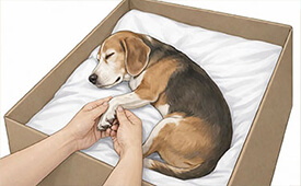 寝ているような体勢に整える