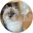 るにゃにゃ profile picture